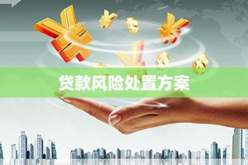 蒙城贷款风险处置方案