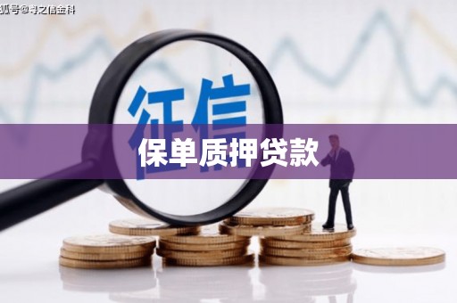 蒙城保单质押贷款