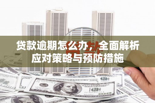 蒙城贷款逾期怎么办，全面解析应对策略与预防措施