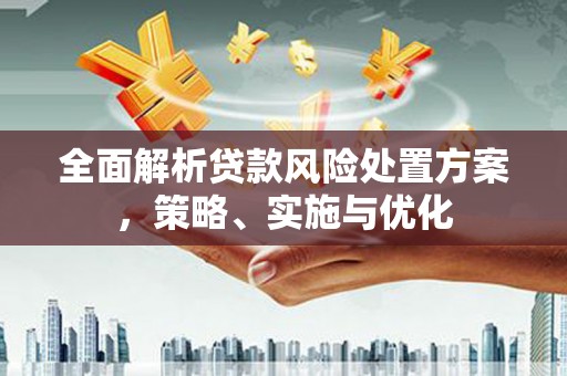 蒙城全面解析贷款风险处置方案，策略、实施与优化