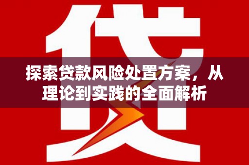 蒙城探索贷款风险处置方案，从理论到实践的全面解析