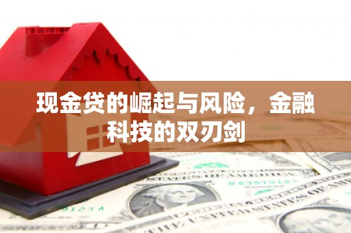 蒙城现金贷的崛起与风险，金融科技的双刃剑