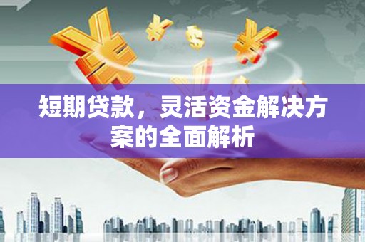 蒙城短期贷款，灵活资金解决方案的全面解析