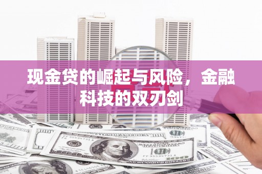 蒙城现金贷的崛起与风险，金融科技的双刃剑