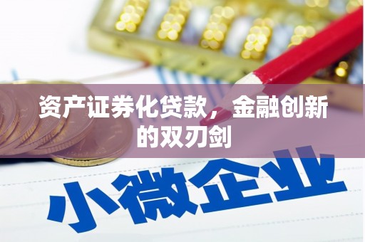 蒙城资产证券化贷款，金融创新的双刃剑