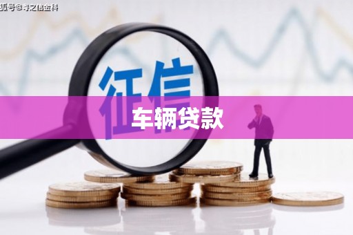 蒙城车辆贷款