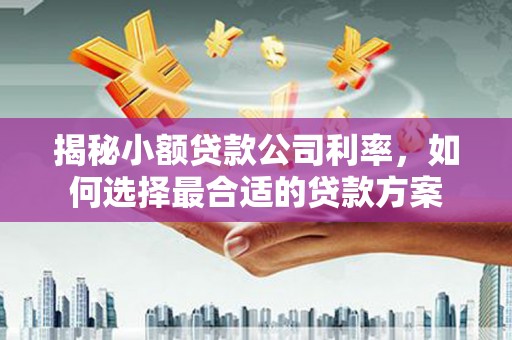 蒙城揭秘小额贷款公司利率，如何选择最合适的贷款方案