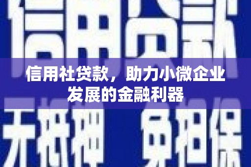 蒙城信用社贷款，助力小微企业发展的金融利器