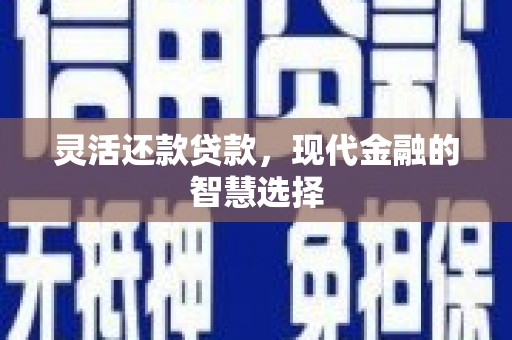 蒙城灵活还款贷款，现代金融的智慧选择