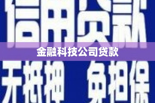 蒙城金融科技公司贷款
