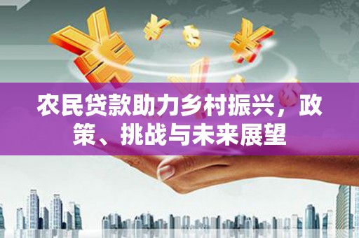 蒙城农民贷款助力乡村振兴，政策、挑战与未来展望