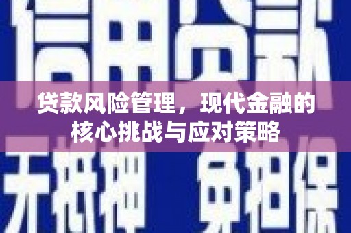 蒙城贷款风险管理，现代金融的核心挑战与应对策略