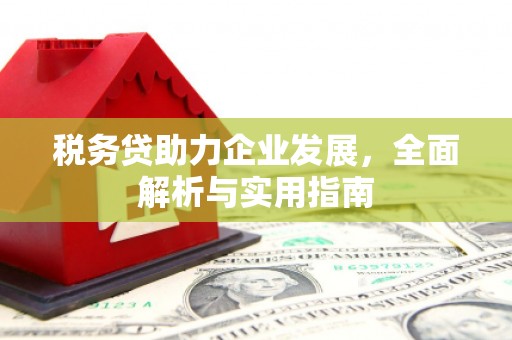 蒙城税务贷助力企业发展，全面解析与实用指南