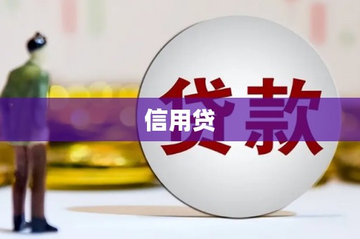 蒙城信用贷