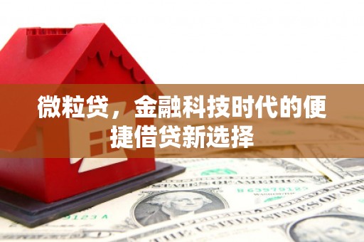蒙城微粒贷，金融科技时代的便捷借贷新选择