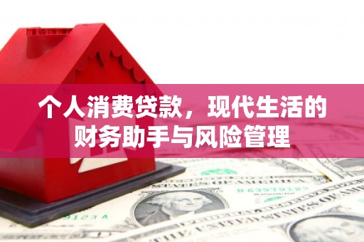 蒙城个人消费贷款，现代生活的财务助手与风险管理