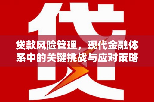 蒙城贷款风险管理，现代金融体系中的关键挑战与应对策略