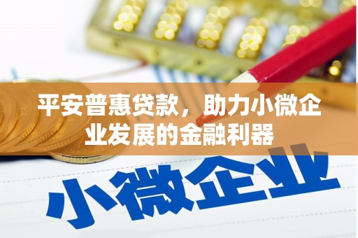 蒙城平安普惠贷款，助力小微企业发展的金融利器