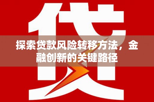蒙城探索贷款风险转移方法，金融创新的关键路径