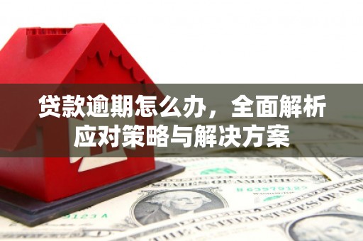 蒙城贷款逾期怎么办，全面解析应对策略与解决方案
